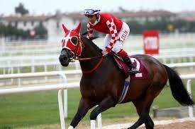 Gazi koşusu, ilk kez türk kurtuluş savaşı yıllarında ankara'daki at yarışlarını kendi himayesinde yaptıran mustafa kemal, 1927 yılında emir vererek gazi koşusu'nun düzenlenmesini istemiştir. 77jtftls8unfm