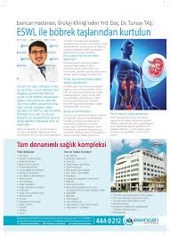 4 Mevsim Bahcesehir Dergisi Tas Tedavisi Bahcesehir Taslar