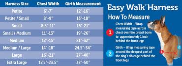 Kong Dog Harness Size Chart Bedowntowndaytona Com