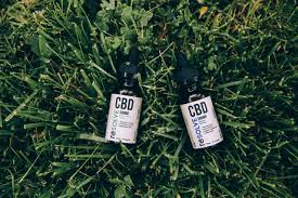 Cbd Extraction Methods How To Extract Cbd Oil Resolvecbd