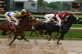 Sports events with more than 250 acres of lush gardens and pristine polo fields, empire polo club is one of the finest facilities for outdoor sporting events. Animals In Sport Wikipedia