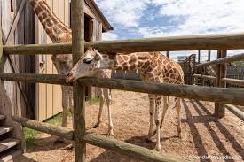 Zooworld in Panama City Beach, FL ...