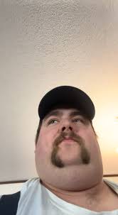 Exploring Canola Fields in Alberta: A Stunning View