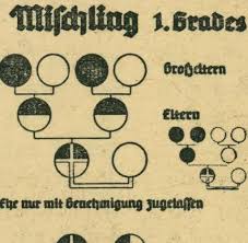 In den nürnberger gesetzen wurde ein ariernachweis vorgeschrieben. Nurnberg 1935 Uber Nacht Liess Hitler Rassengesetze Improvisieren Welt