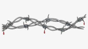 Wire drawing simple barbed wire tattoo. Wire Transparent Png Barb Wire Tattoo Circle Png Download Kindpng