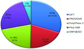 Pie Chart Showing Percentage Of Damaging Nssnps Identified