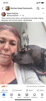 So this happened last night in a local area 🤬 The dog was probably  terrified due to fireworks & the vets never even gave the owners a chance  to come forward. So