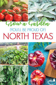 One of the more unusual use the basic organic fertilization schedule and remove flowers from young plants to encourage the expansion of roots, which are the edible parts of the plant. Growing Your Own Amazing Garden With These Plants Is Easy To Do In North Texas Metroplex Social
