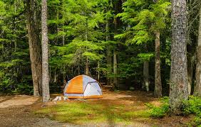 Our stunning campground resort is situated between mt lassen this place is a gem! 15 Top Rated Campgrounds In Glacier National Park Mt Planetware