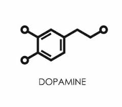 Image result for Dopamine