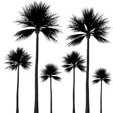 We did not find results for: Silhouette Palm Trees Png Picpng