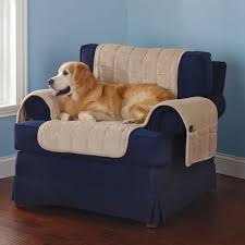 Free shipping on orders of $35+ and save 5% every day with your target redcard. The Non Slip Furniture Protecting Pet Covers Hammacher Schlemmer