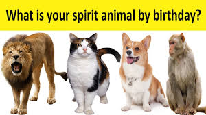 How do i find out my spirit animal. What Is Your Spirit Animal By Birthday Youtube