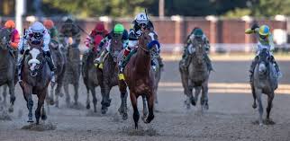 Derby winners who sire derby winners already there are striking similarities between life is good and 2020 kentucky derby (g1) winner authentic. Kentucky Derby 2020 Payouts After Authentic Edges Tiz The Law
