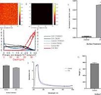 Development and characterisation of antimicrobial epoxy ...