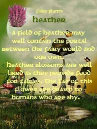Fairy Plants Heather Fairy Quotes Fairy Magic Fairy