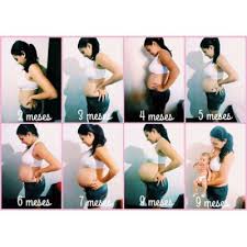 Fotos Mes A Mes Da Gravidez Alguem Tbm Fez Junho De 2015 Babycenter
