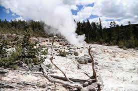 Yellowstone S Steamboat Geyser Is Gushing At A Record Pace The New York Times