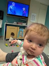 Pitbull experiences health issues after adoption and undergoes surgery