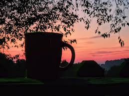 Appreciating life's simple moments and beauty