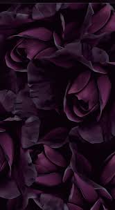 Purple Flowers Wallpaper Iphonewallpaper Flowers Background Flowers Iphonewallpaper Purple Flowers Wallpaper Huawei Wallpapers Flower Phone Wallpaper