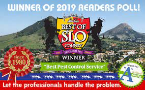 Find the travel option that best last updated: Brezden Pest Wins 1st Place Best Of Slo County 2019
