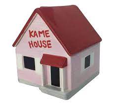 Kame house novelties
