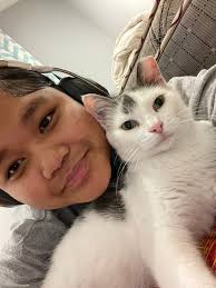 Hillview & Bullitt County Lost and Found Pets