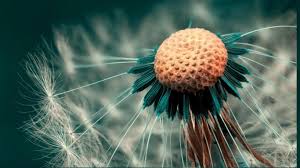 1366 X 768 Hd Wallpapers Top Free 1366 X 768 Hd Backgrounds Wallpaperaccess Enjoy and share your favorite beautiful hd wallpapers and background images.