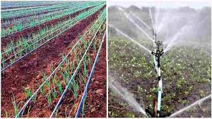 सब्सिडी पर ड्रिप सिस्टम एवं स्प्रिंकलर सेट लेने के लिए आवेदन करें