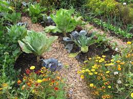 24 Fantastic Backyard Vegetable Garden Ideas When To Plant Vegetables Planting Vegetables Plants