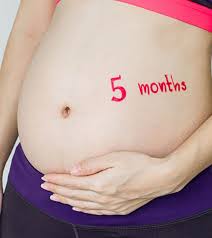 5 Months Pregnant Symptoms Belly Size Baby Development