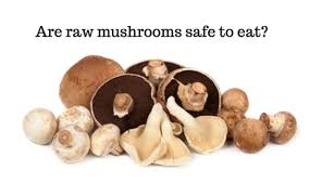 What i enjoy most about mushrooms is their texture which will vary with the many types of mushrooms now available at most supermarkets. Raw Mushrooms Are Not Dangerous Eat Them Happy Herbivore