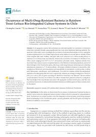 PDF) Occurrence of Multi-Drug-Resistant Bacteria in Rainbow Trout–Lettuce  Bio-Integrated Culture Systems in Chile