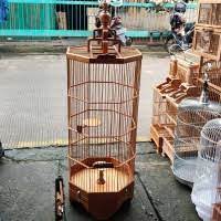 Harga sangkar branjangan segi 8. Jual Sangkar Segi 8 Terlengkap Terbaik Harga Murah July 2021