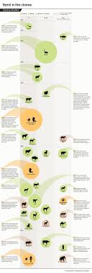 Cloning Timeline Which Animals And When Bbc Worldwide Life Science Projects Life Science