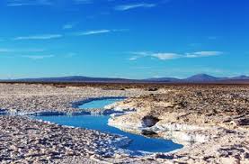 Ojo Del Mar Em Um Deserto De Sal Na Provincia De Jujuy Argentina Foto Premium
