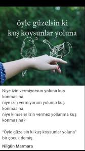 Niye Izin Vermiyorsun Yoluna Kus Konmasina Nilgun Marmara 2020 Siir Iz