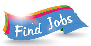 Japanese Skilled Programmer Cebu And Taguig Find A Job Job Opening Jobs For Freshers