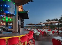 Baja fish tacos at paradiso37. A Complete Guide To Paradiso 37 At Walt Disney World Inside The Magic