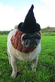 Check out our pug halloween costume selection for the very best in unique or custom, handmade pieces from our costumes shops. 10 Pug Halloween Costumes Best Dog Halloween Costumes