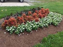 Pin On Flowerbeds