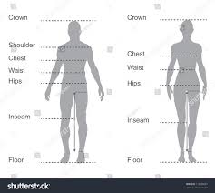 Described Bodybuilding Measurement Chart Human Measurements