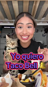 Cattok Ai Tacobwll