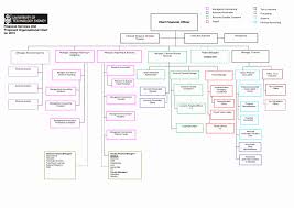 word organization chart template best of organizational