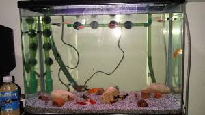 Toko jual peralatan aquarium air tawar kini bisa anda temukan di kota anda karena cabang kami telah tersebar di mana mana seluruh indonesia. Cara Menghindari Kematian Ikan Pada Saat Listrik Mati Pemadaman Listrik