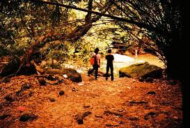 39 видео 117 просмотров обновлено вчера. The Burmese Pool Taiping Lomography