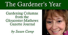 Gardening in Gloucester