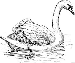 Fairies can be any color or a mix of many colors. Swan Coloring Pages Swan Printable Coloring4free Coloring4free Com