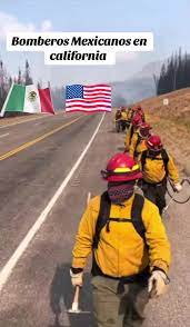 Bomberos mexicanos llegaron a California 🙏🏻#bomberos #incendiosfores... | bomberos mexicanos en california | TikTok